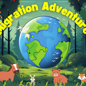 Migration Adventure