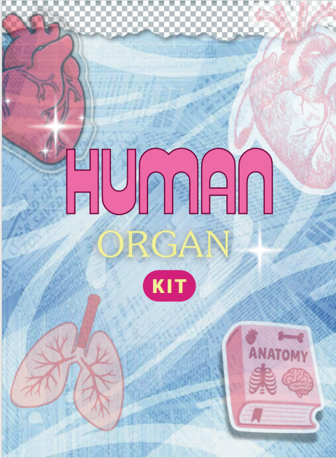 Human Organ Kit